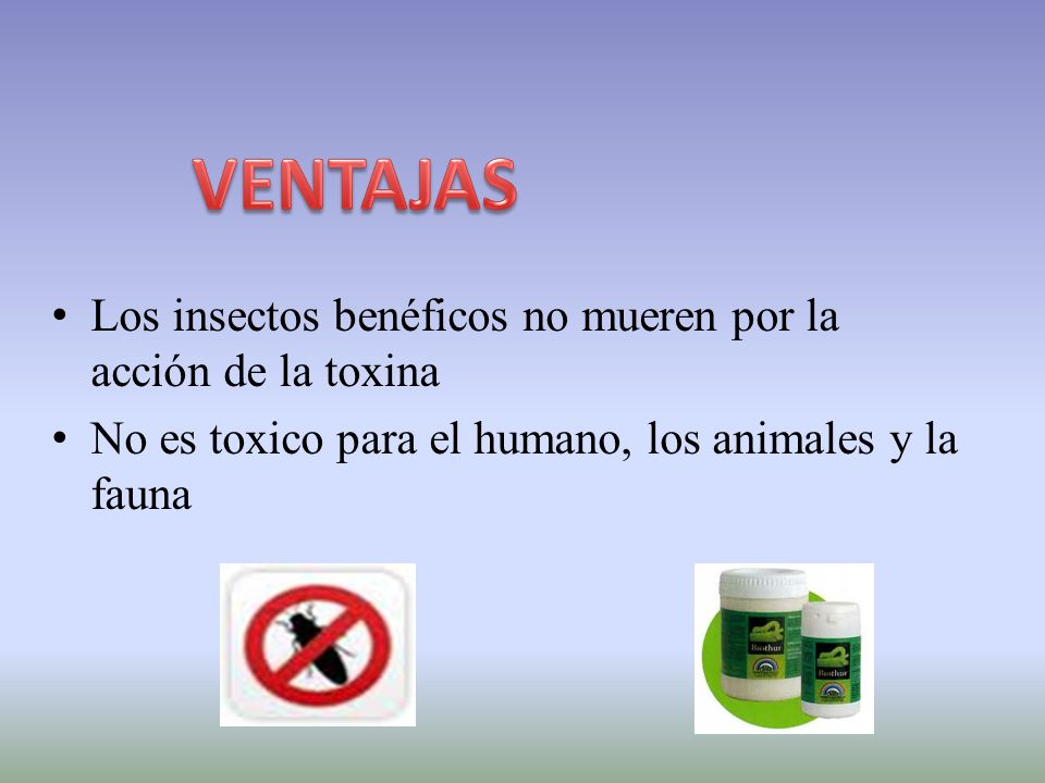 VENTAJAS Los insectos benéficos no mueren por la acción de la toxina