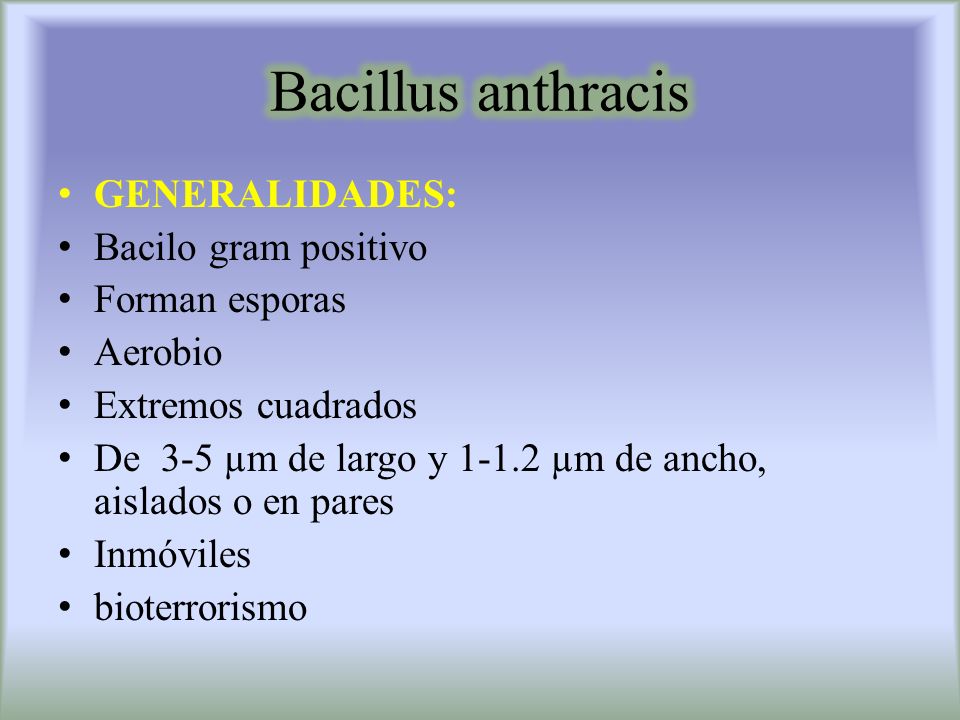 Bacillus anthracis GENERALIDADES: Bacilo gram positivo Forman esporas
