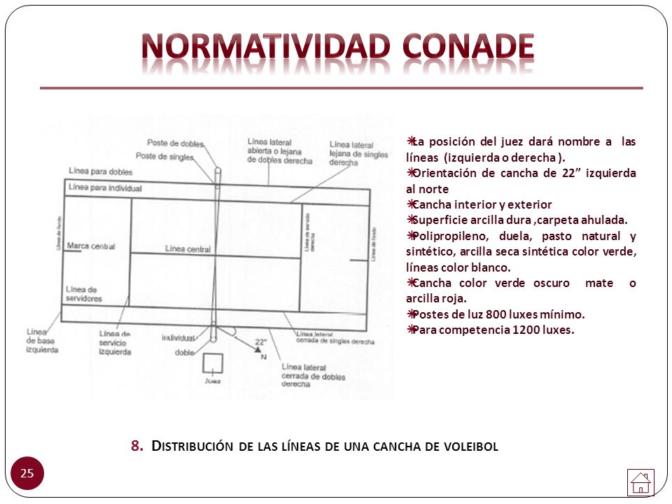 8. Distribución de las líneas de una cancha de voleibol