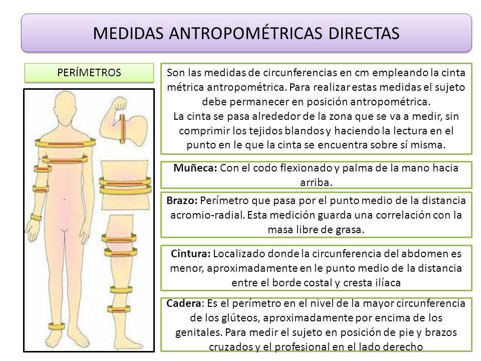 TALLER TEÓRICO-PRÁCTICO - ppt video online descargar