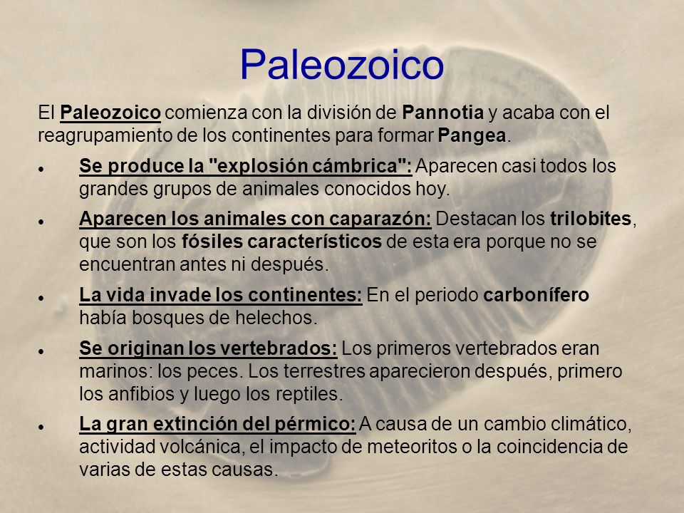 Paleozoico El Paleozoico comienza con la división de Pannotia y acaba con el reagrupamiento de los continentes para formar Pangea.