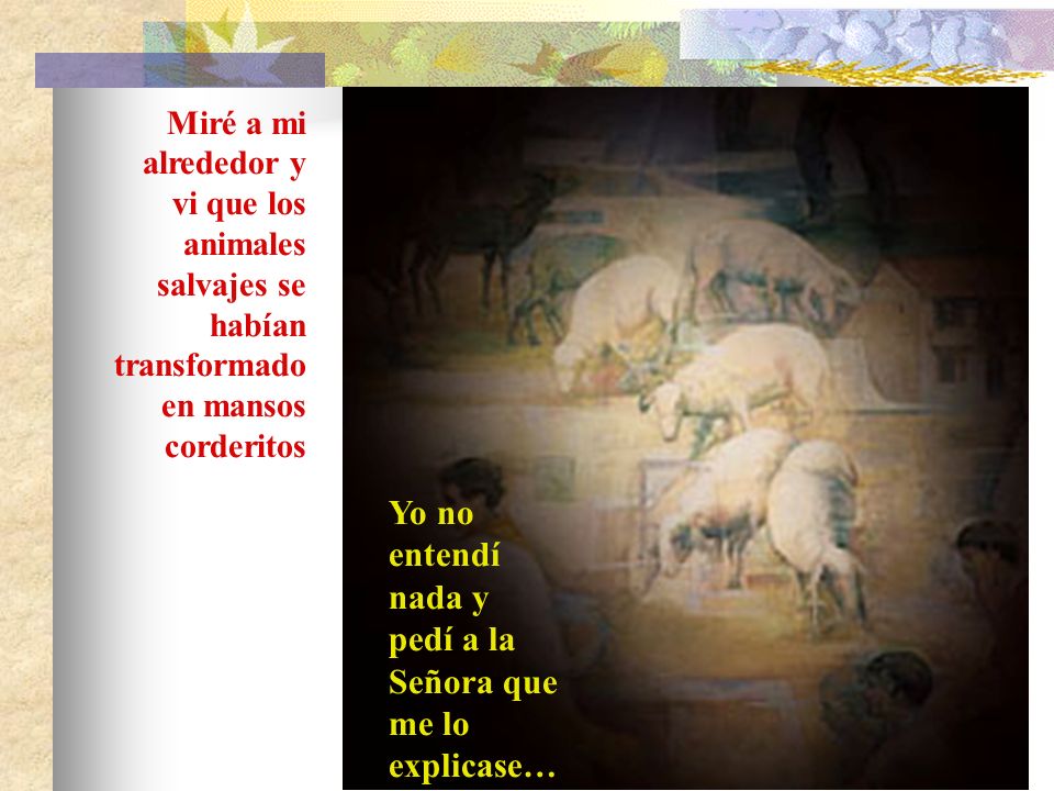 Yo no entendí nada y pedí a la Señora que me lo explicase…