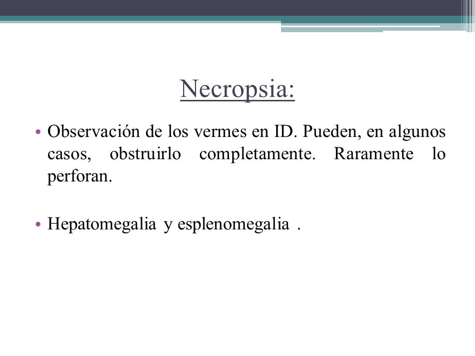 Necropsia: Observación de los vermes en ID. Pueden, en algunos casos, obstruirlo completamente. Raramente lo perforan.