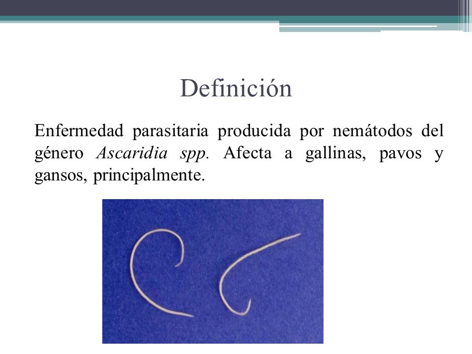 Definición Enfermedad parasitaria producida por nemátodos del género Ascaridia spp.