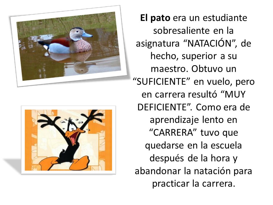 El pato era un estudiante sobresaliente en la asignatura NATACIÓN , de hecho, superior a su maestro.