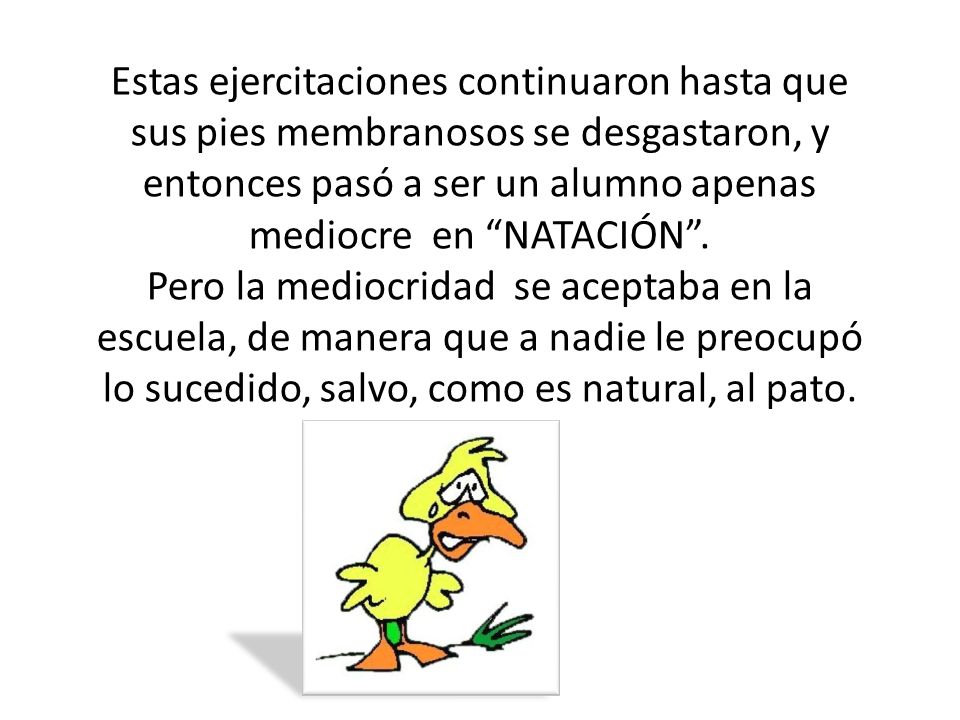 Estas ejercitaciones continuaron hasta que sus pies membranosos se desgastaron, y entonces pasó a ser un alumno apenas mediocre en NATACIÓN .