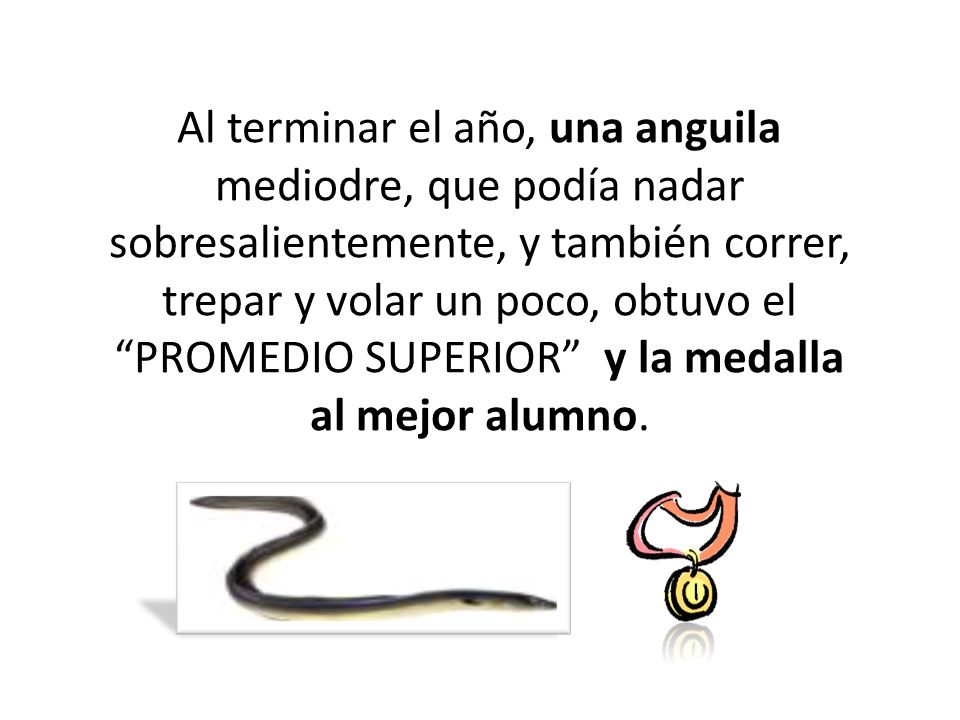 Al terminar el año, una anguila mediodre, que podía nadar sobresalientemente, y también correr, trepar y volar un poco, obtuvo el PROMEDIO SUPERIOR y la medalla al mejor alumno.