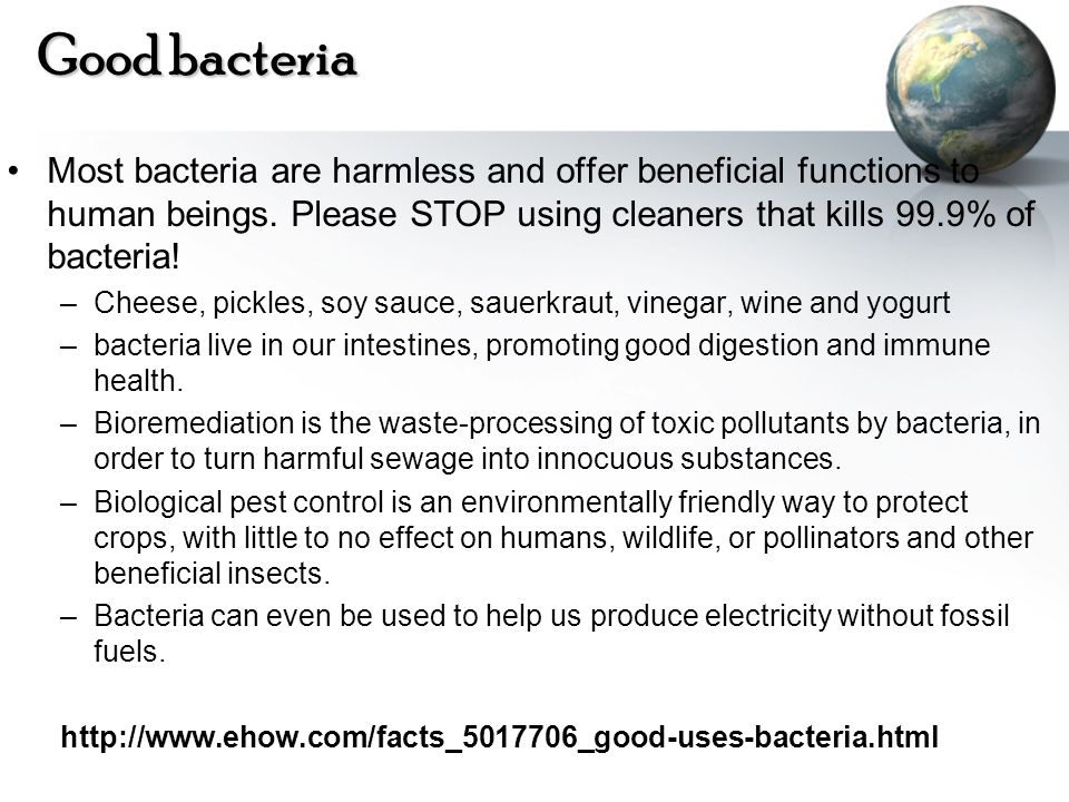 Good bacteria Most bacteria are harmless and offer beneficial functions to human beings. Please STOP using cleaners that kills 99.9% of bacteria!