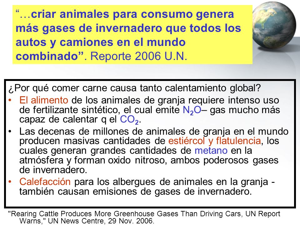 …criar animales para consumo genera más gases de invernadero que todos los autos y camiones en el mundo combinado . Reporte 2006 U.N.