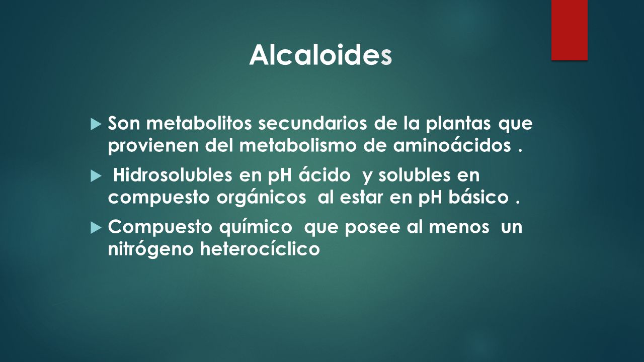 Alcaloides Son metabolitos secundarios de la plantas que provienen del metabolismo de aminoácidos .