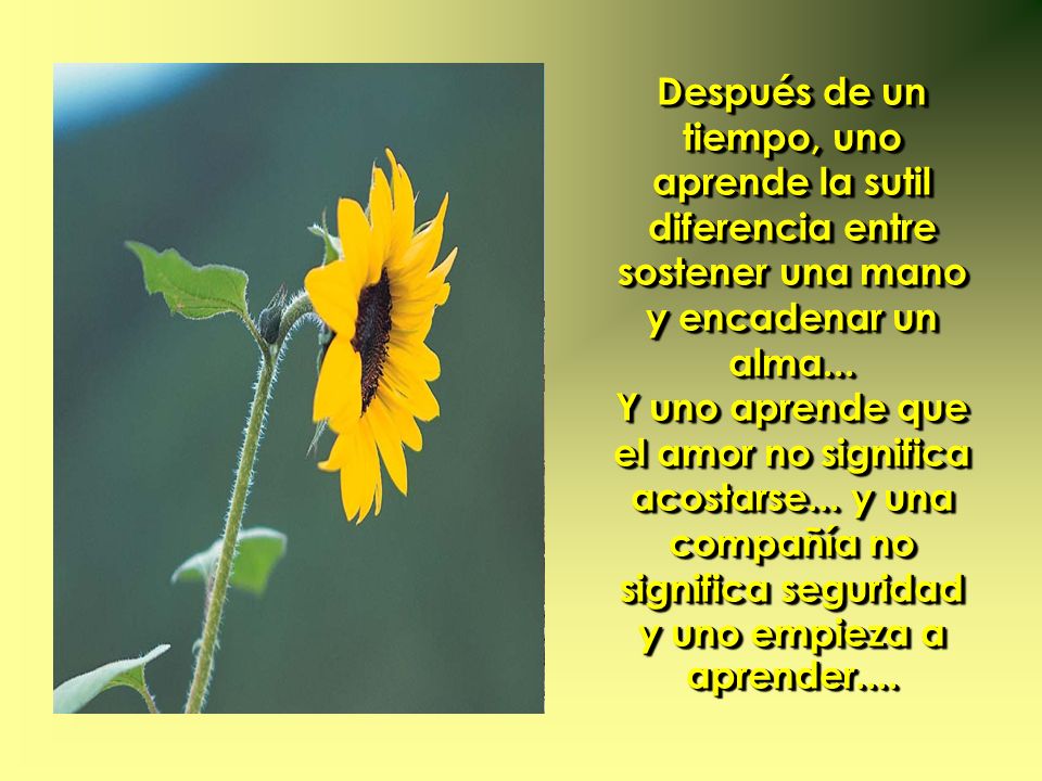 Después de un tiempo, uno aprende la sutil diferencia entre sostener una mano y encadenar un alma...