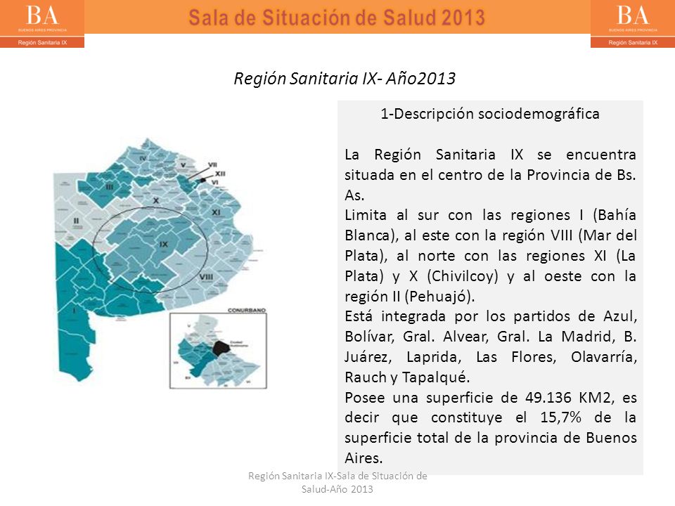 Sala de Situación de Salud 2013
