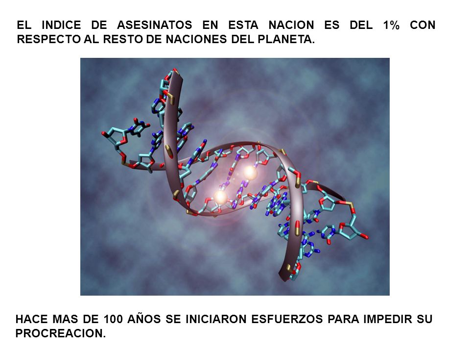 EL INDICE DE ASESINATOS EN ESTA NACION ES DEL 1% CON RESPECTO AL RESTO DE NACIONES DEL PLANETA.