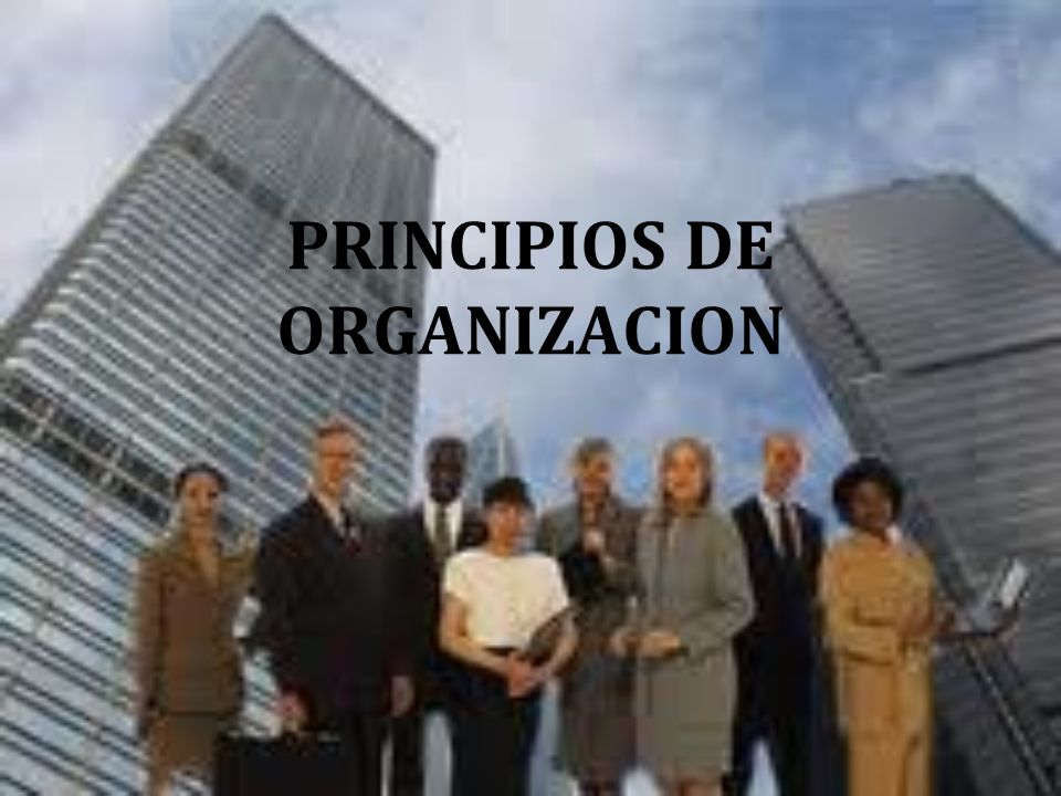 PRINCIPIOS DE ORGANIZACION