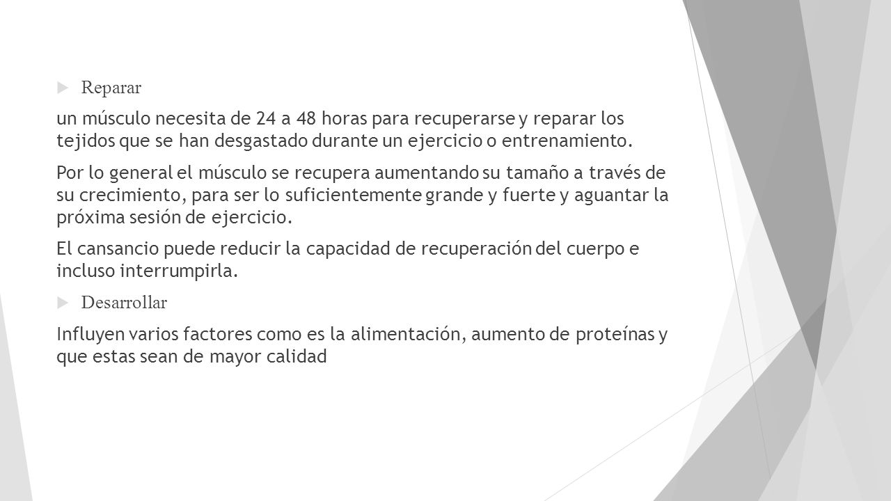 Reparar un músculo necesita de 24 a 48 horas para recuperarse y reparar los tejidos que se han desgastado durante un ejercicio o entrenamiento.