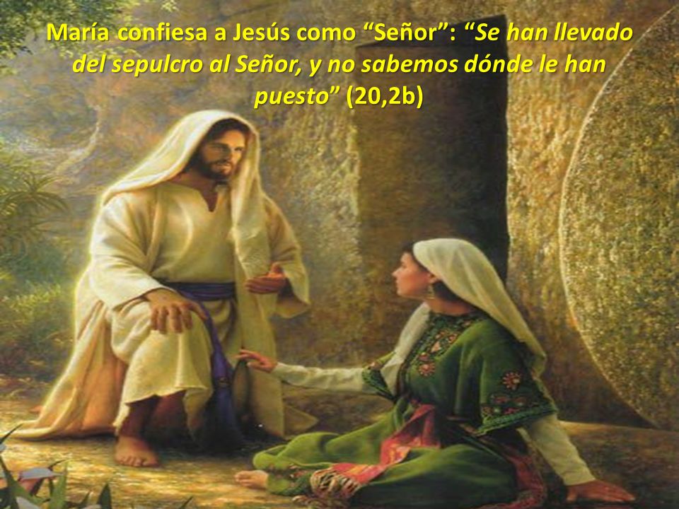 María confiesa a Jesús como Señor : Se han llevado del sepulcro al Señor, y no sabemos dónde le han puesto (20,2b)