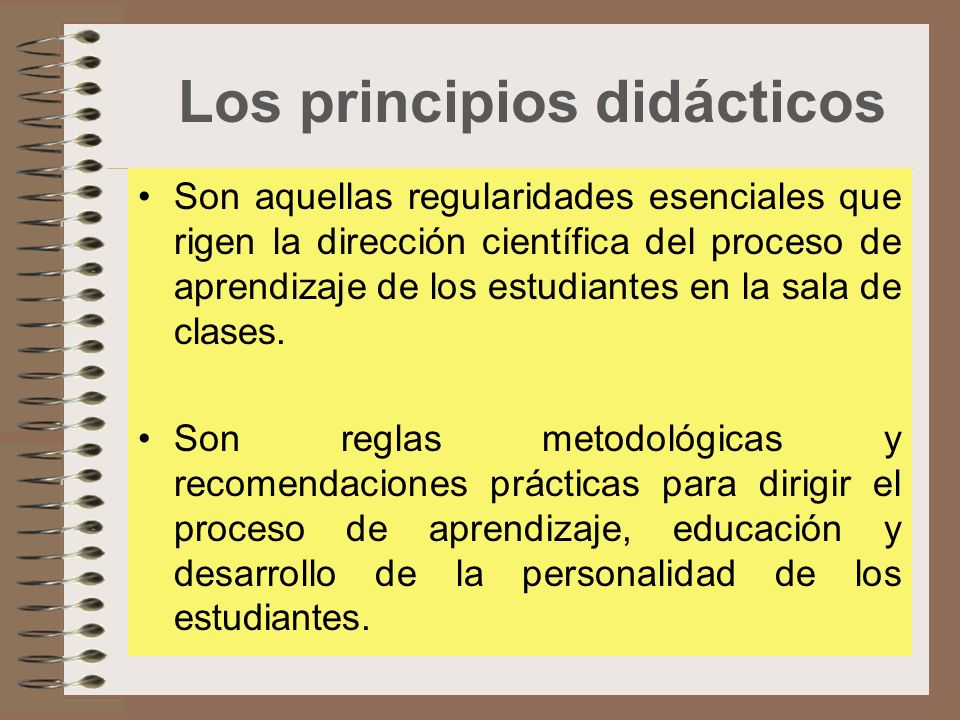 Los principios didácticos