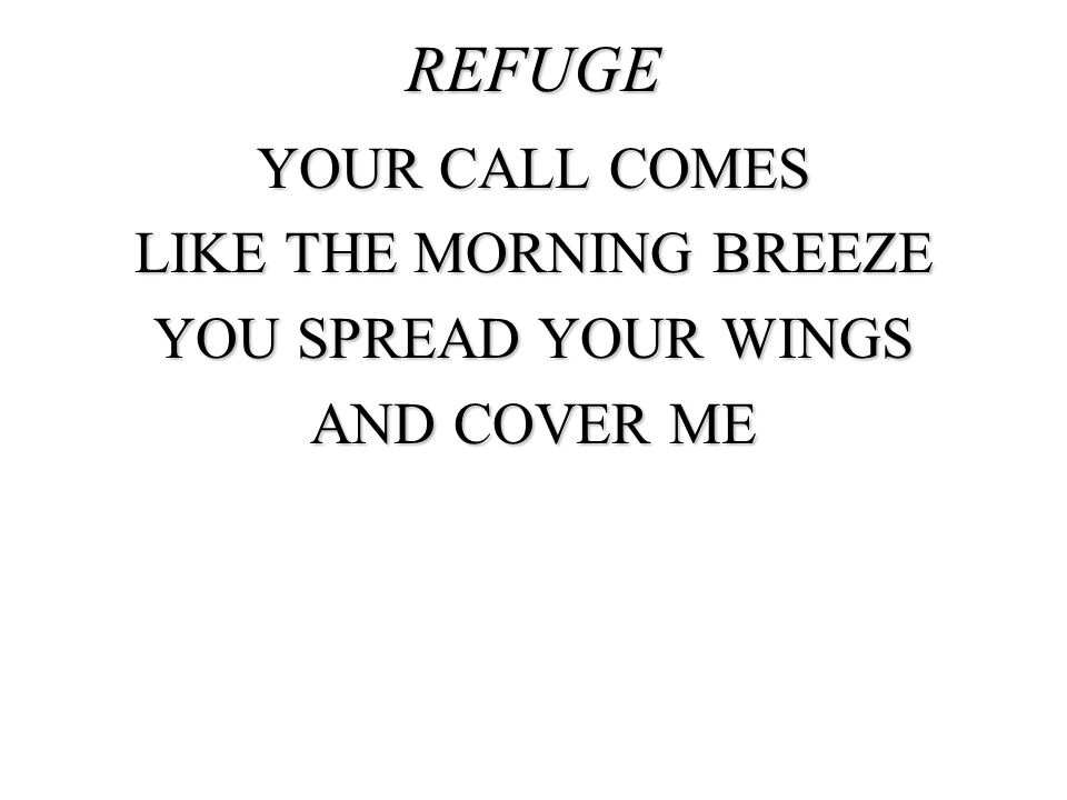 Refuge Your call comes Like the morning breeze You spread Your wings And cover me