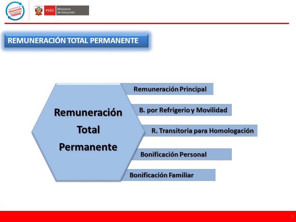 Remuneración Total Permanente