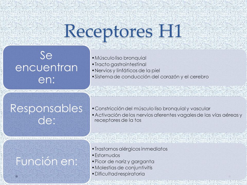 Receptores H1 Se encuentran en: Responsables de: Función en: