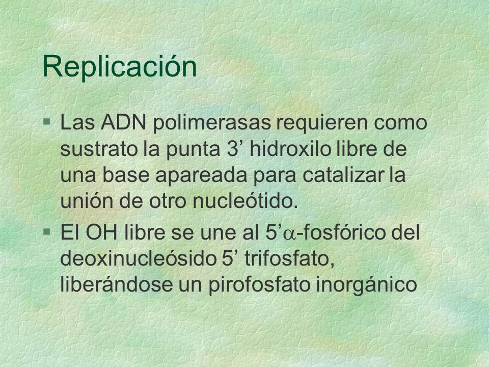 Replicación Las ADN polimerasas requieren como sustrato la punta 3’ hidroxilo libre de una base apareada para catalizar la unión de otro nucleótido.