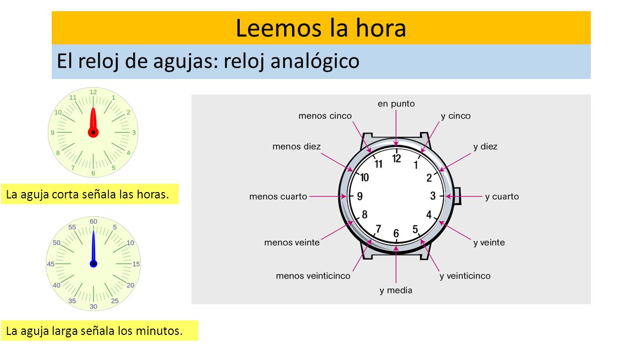Leemos la hora El reloj de agujas: reloj analógico