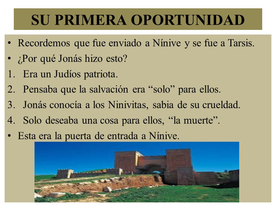 SU PRIMERA OPORTUNIDAD