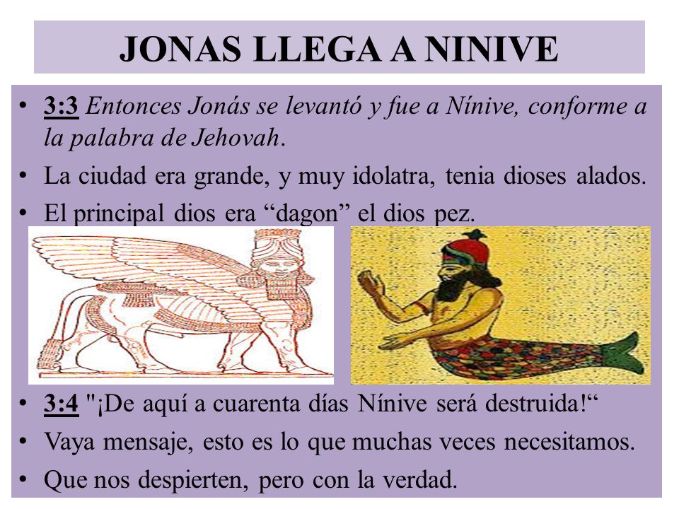 JONAS LLEGA A NINIVE 3:3 Entonces Jonás se levantó y fue a Nínive, conforme a la palabra de Jehovah.