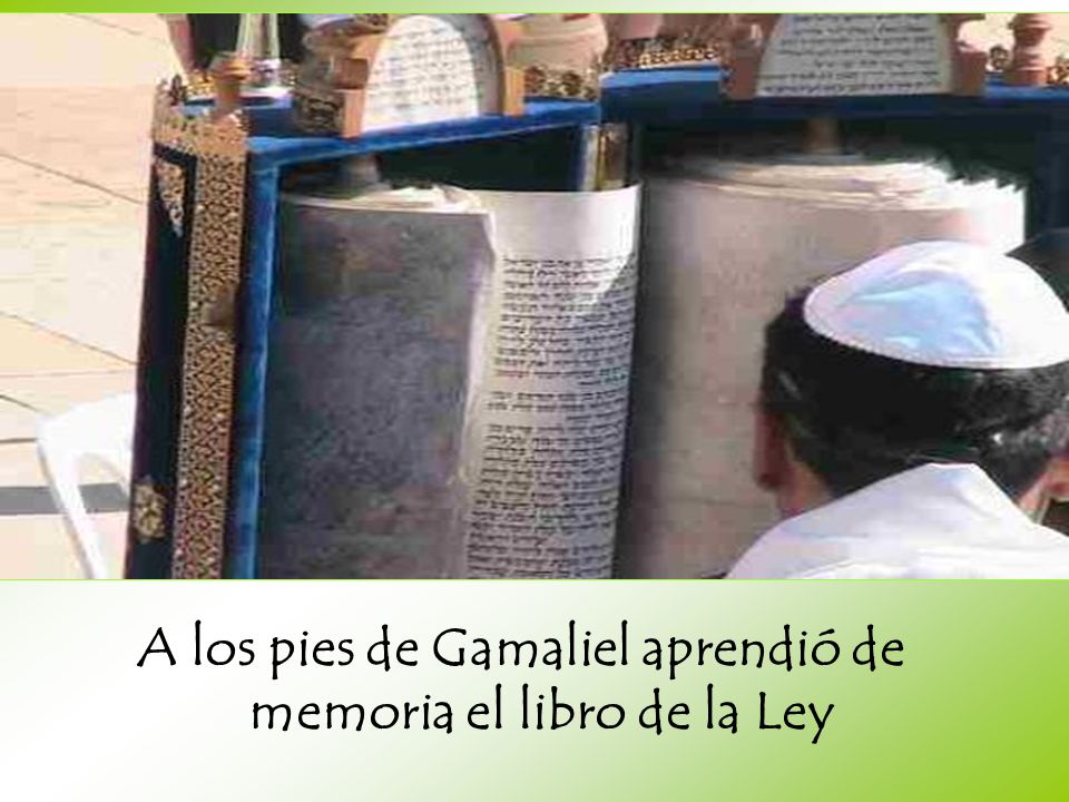 A los pies de Gamaliel aprendió de memoria el libro de la Ley