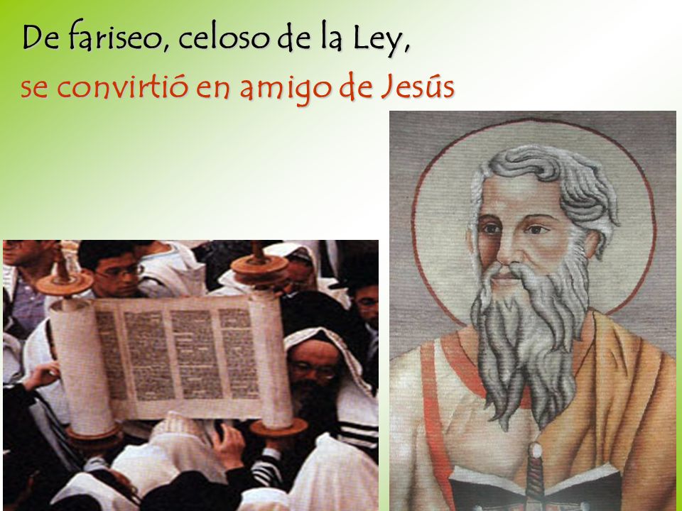 De fariseo, celoso de la Ley,