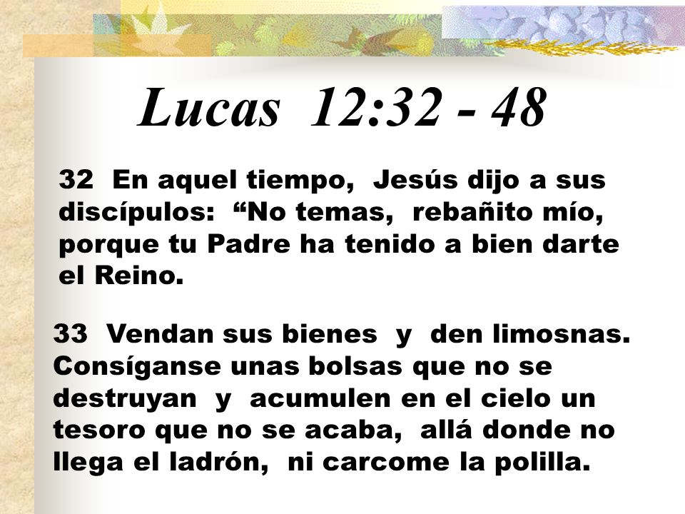 Lucas 12: En aquel tiempo, Jesús dijo a sus discípulos: No temas, rebañito mío, porque tu Padre ha tenido a bien darte el Reino.