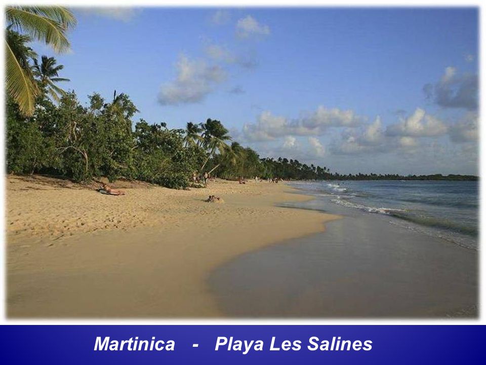 Martinica - Playa Les Salines