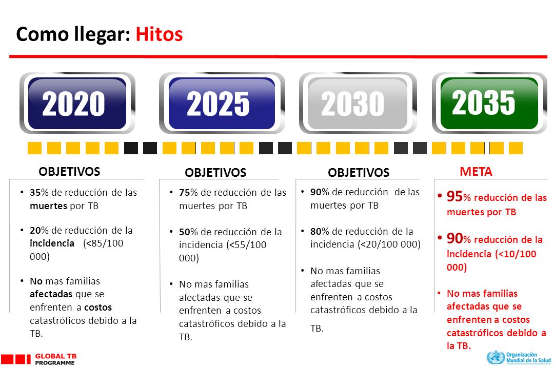 Como llegar: Hitos OBJETIVOS. 35% de reducción de las muertes por TB. 20% de reducción de la incidencia (<85/ )