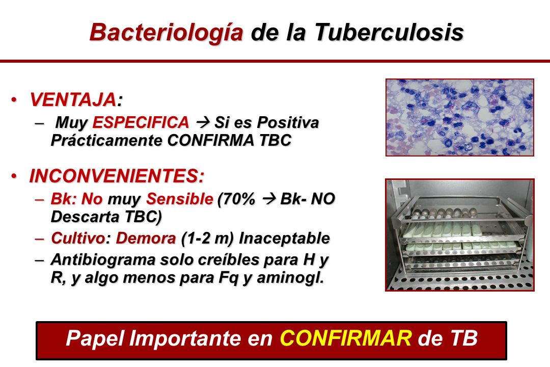 Bacteriología de la Tuberculosis Papel Importante en CONFIRMAR de TB