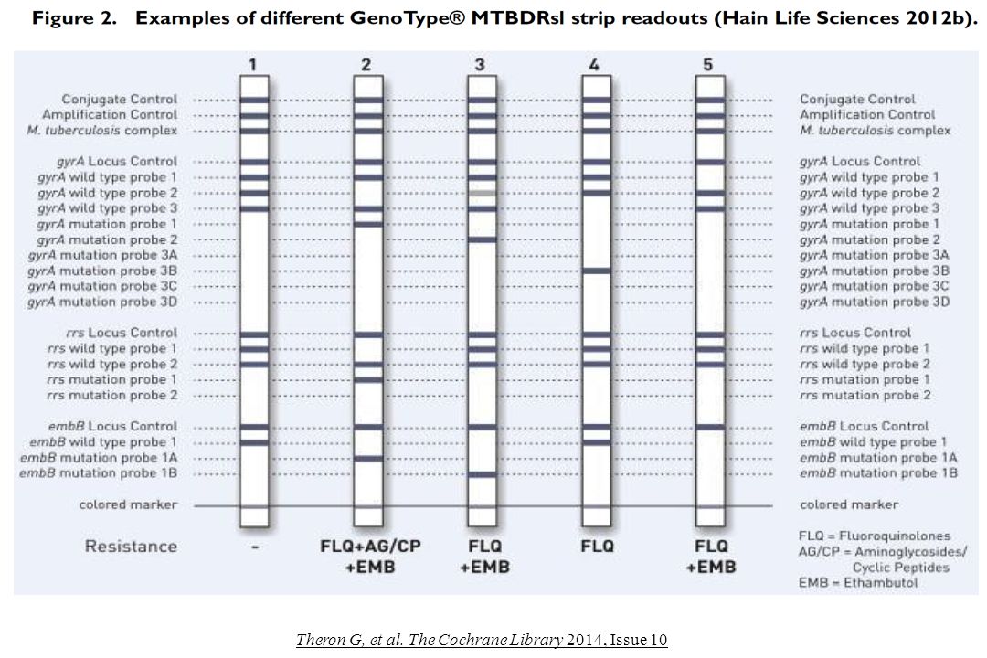 Theron G, et al. The Cochrane Library 2014, Issue 10