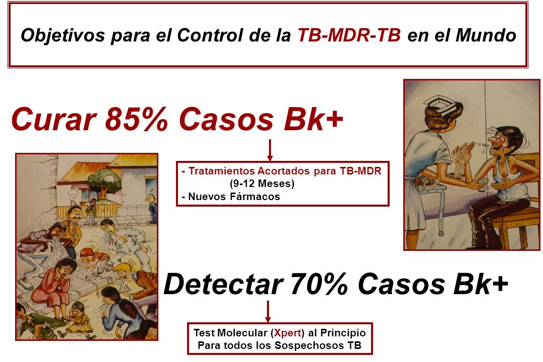 Objetivos para el Control de la TB-MDR-TB en el Mundo