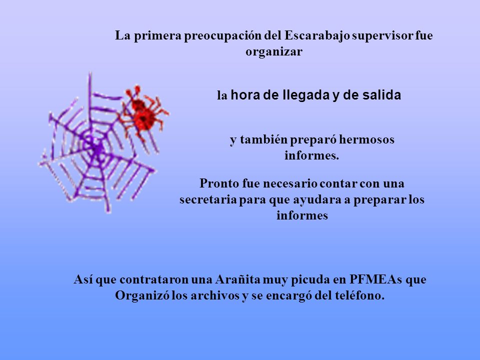 La primera preocupación del Escarabajo supervisor fue organizar