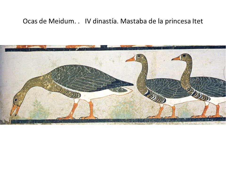 Ocas de Meidum. . IV dinastía. Mastaba de la princesa Itet
