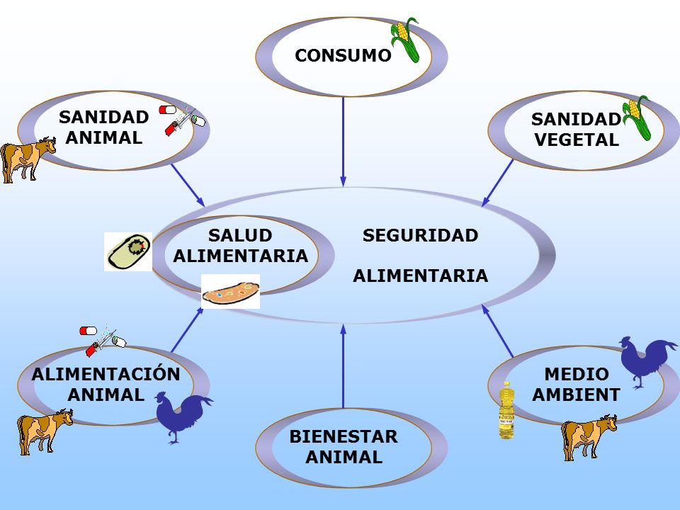 CONSUMO SANIDAD. ANIMAL. SANIDAD. VEGETAL. SEGURIDAD. ALIMENTARIA. SALUD. ALIMENTACIÓN. ANIMAL.