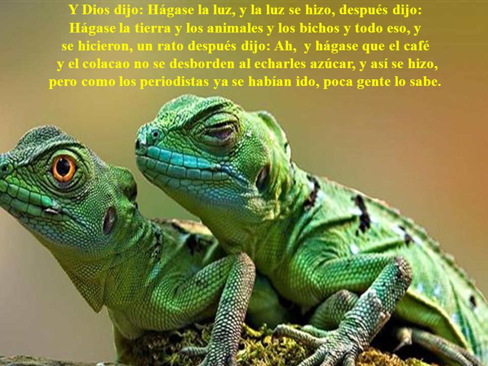 Y Dios dijo: Hágase la luz, y la luz se hizo, después dijo: