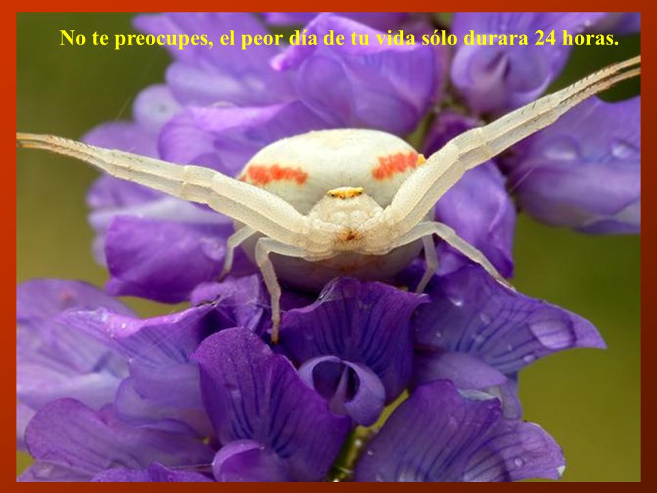 No te preocupes, el peor día de tu vida sólo durara 24 horas.