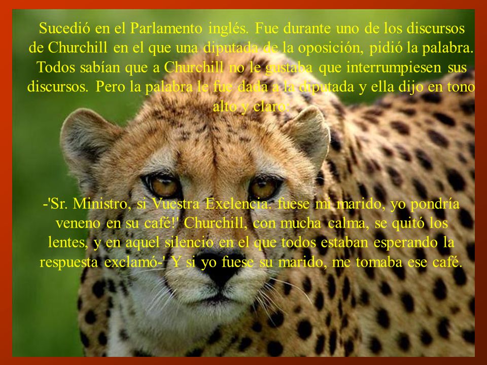 Sucedió en el Parlamento inglés. Fue durante uno de los discursos