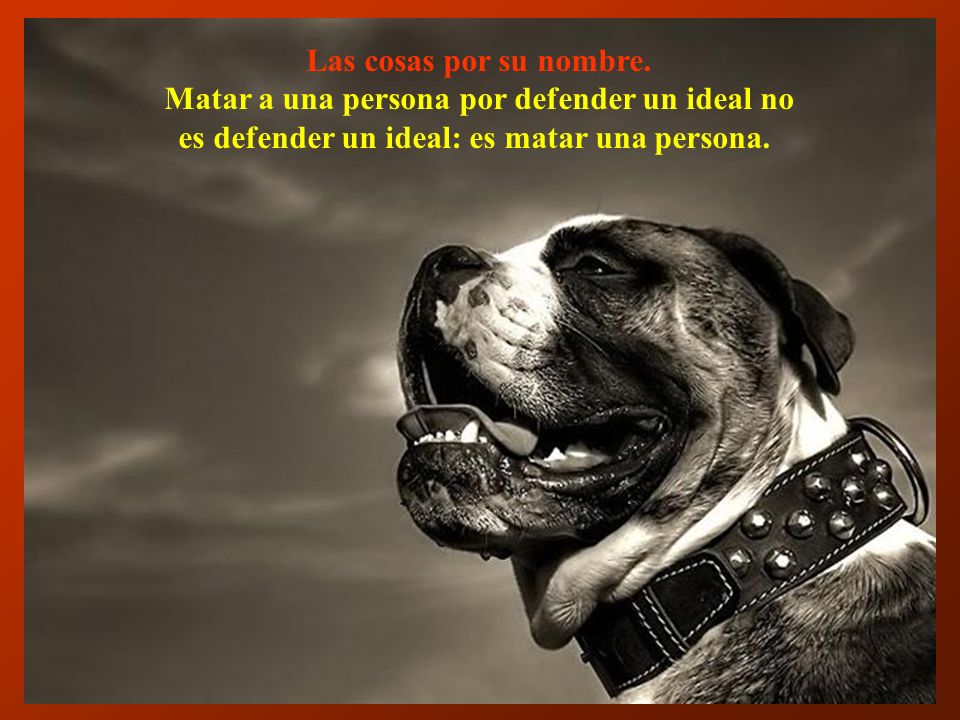 Matar a una persona por defender un ideal no