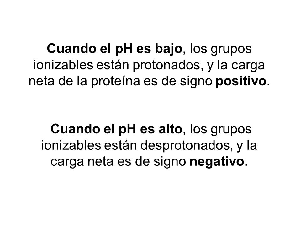 Cuando el pH es bajo, los grupos ionizables están protonados, y la carga neta de la proteína es de signo positivo.