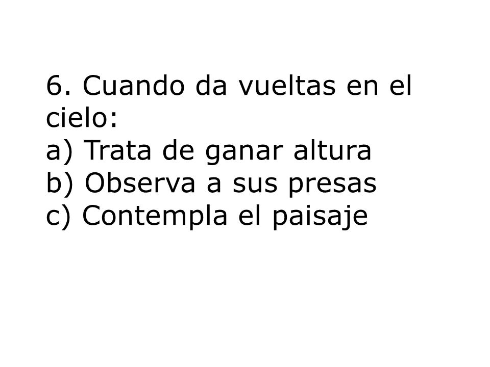 6. Cuando da vueltas en el cielo: a) Trata de ganar altura