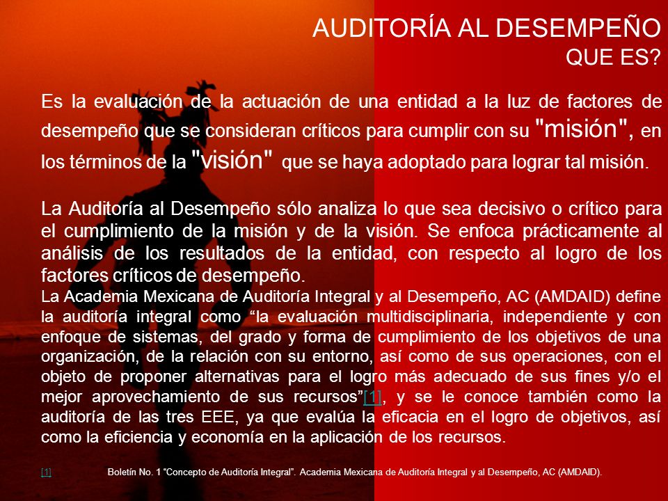 AUDITORÍA AL DESEMPEÑO