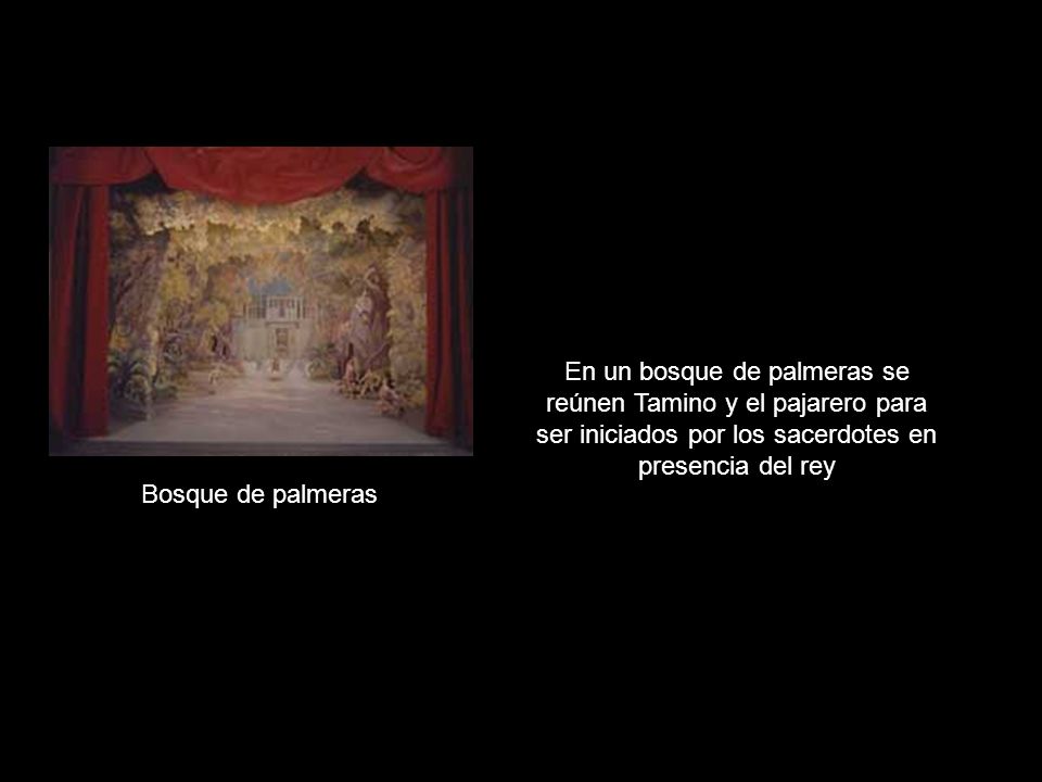 En un bosque de palmeras se reúnen Tamino y el pajarero para ser iniciados por los sacerdotes en presencia del rey