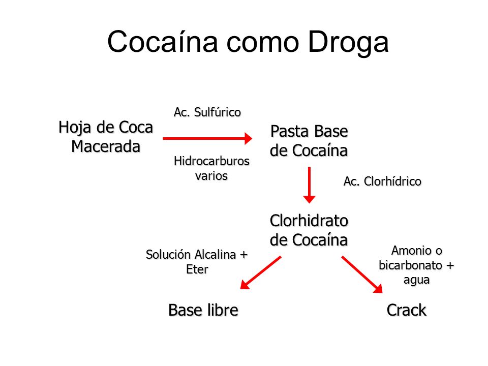 Cocaína como Droga Hoja de Coca Macerada Crack Base libre
