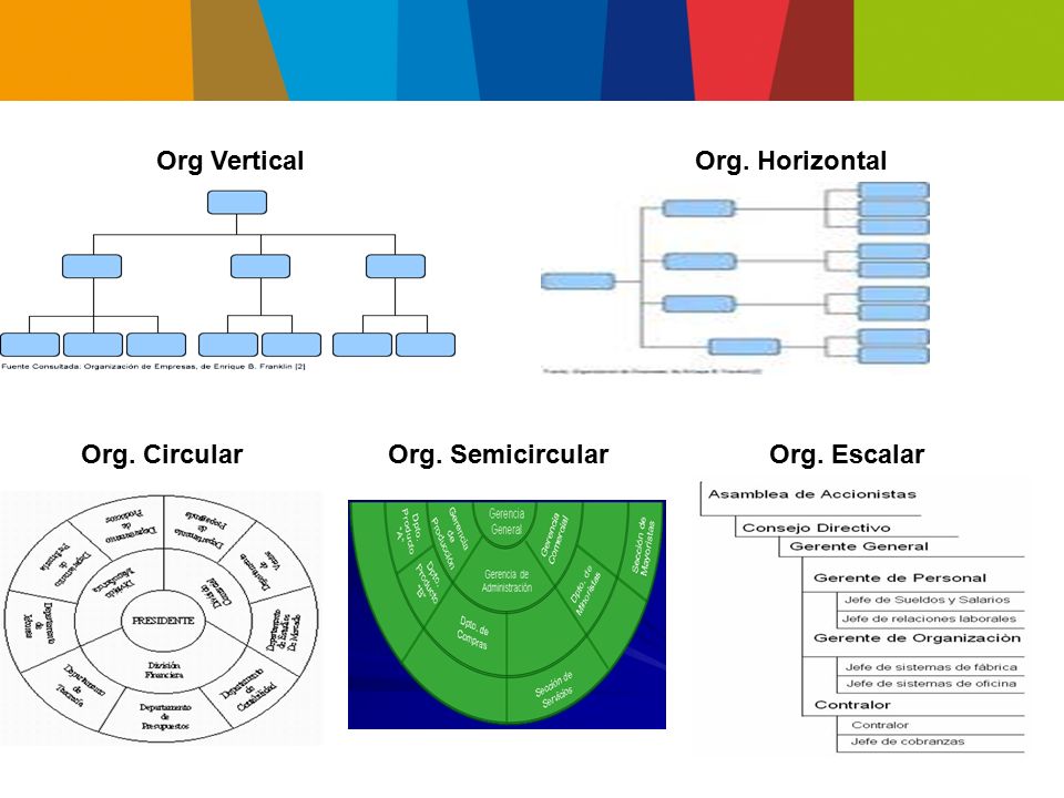 Org Vertical Org. Horizontal Org. Circular Org. Semicircular Org. Escalar