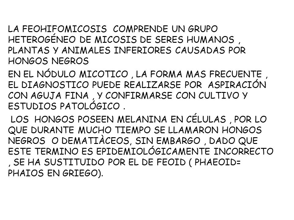 LA FEOHIFOMICOSIS COMPRENDE UN GRUPO HETEROGÉNEO DE MICOSIS DE SERES HUMANOS , PLANTAS Y ANIMALES INFERIORES CAUSADAS POR HONGOS NEGROS